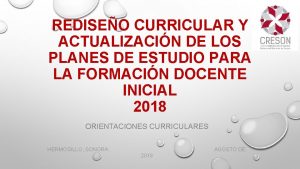 REDISEO CURRICULAR Y ACTUALIZACIN DE LOS PLANES DE