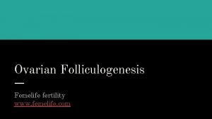 Ovarian Folliculogenesis Femelife fertility www femelife com What