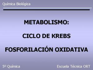 Qumica Biolgica METABOLISMO CICLO DE KREBS FOSFORILACIN OXIDATIVA