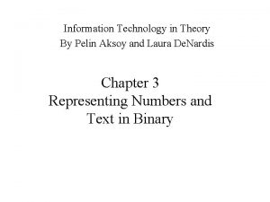 Information Technology in Theory By Pelin Aksoy and