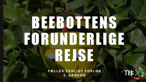 BEEBOTTENS FORUNDERLIGE REJSE FLLES FAGLIGT FORLB 0 RGANG