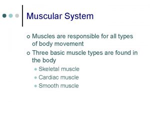 Muscular System Muscles are responsible for all types