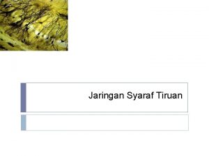 Jaringan Syaraf Tiruan Model Neuron JST X 1