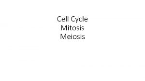 Cell Cycle Mitosis Meiosis Homework QUIZIZZ https join
