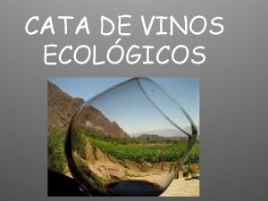 CATA DE VINOS ECOLGICOS Un 15 de las