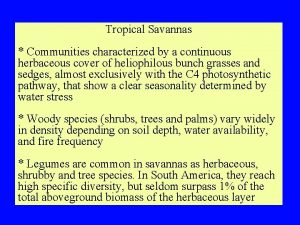 Tropical Savannas Communities characterized by a continuous herbaceous