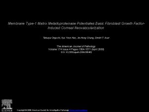 Membrane Type1 Matrix Metalloproteinase Potentiates Basic Fibroblast Growth