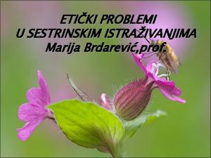 ETIKI PROBLEMI U SESTRINSKIM ISTRAIVANJIMA Marija Brdarevi prof