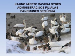 KAUNO MIESTO SAVIVALDYBS ADMINISTRACIJOS FILIALAS PANEMUNS SENINIJA PANEMUNS