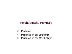 Morphologische Merkmale Merkmale in der Linguistik Merkmale in