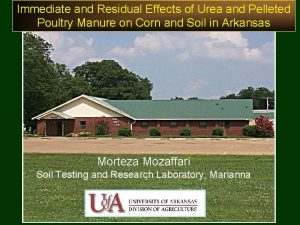 Immediate and Residual Effects of Urea and Pelleted