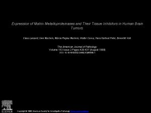 Expression of Matrix Metalloproteinases and Their Tissue Inhibitors