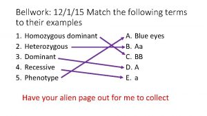 Bellwork 12115 Match the following terms to their