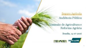 Seguro Agrcola Audincia Pblica Comisso de Agricultura e