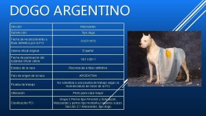 DOGO ARGENTINO Seccin Molosoides Subseccin Tipo dogo Fecha