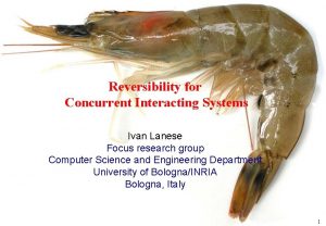 Reversibility for Concurrent Interacting Systems Ivan Lanese Focus