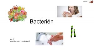 Bacterin Les 1 Wat is een bacterie Bacterin