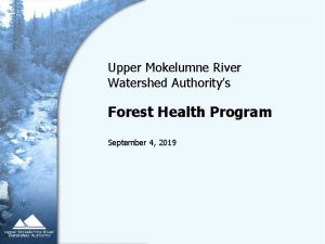 Upper Mokelumne River Watershed Authoritys Forest Health Program