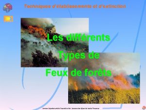 Techniques dtablissements et dextinction Les diffrents Types de