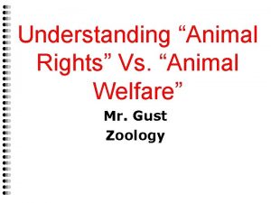 Understanding Animal Rights Vs Animal Welfare Mr Gust