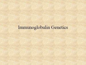 Immunoglobulin Genetics Immunoglobulin Genetics History Same C region