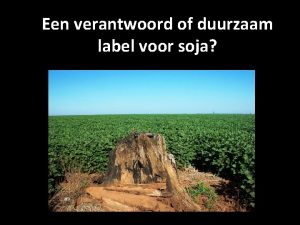 Een verantwoord of duurzaam label voor soja sojateelt