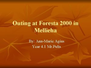 Outing at Foresta 2000 in Mellieha By AnnMarie