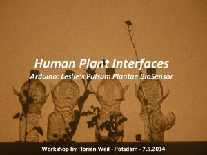 Human Plant Interfaces Arduino Leslies Pulsum Plantae Bio