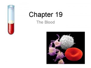 Chapter 19 The Blood The Blood Were born