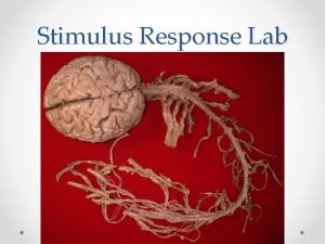 Stimulus Response Lab Research Each student should pick