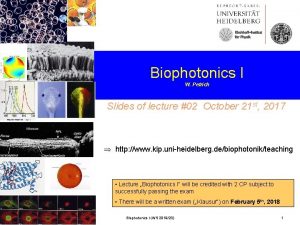 KirchhoffInstitut fr Physik Biophotonics I W Petrich Slides
