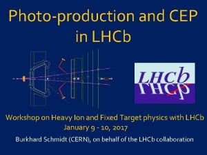 Photoproduction and CEP in LHCb Workshop on Heavy