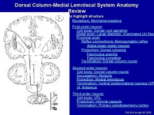 Dorsal ColumnMedial Lemniscal System Anatomy Review Click name