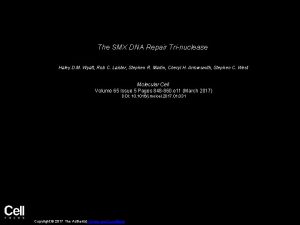 The SMX DNA Repair Trinuclease Haley D M