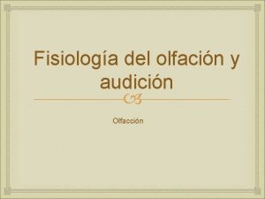 Fisiologa del olfacin y audicin Olfaccin Los rganos