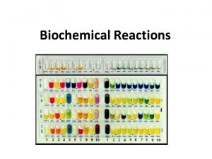 Biochemical Reactions Catalase Test Principle If organisms have