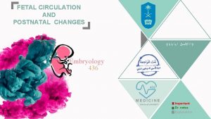 FETAL CIRCULATION AND POSTNATAL CHANGES Embryology 436 MEDICINE