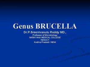 Genus BRUCELLA Dr P Sreenivasulu Reddy MD Professor