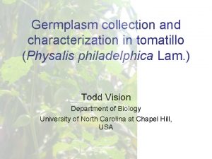 Germplasm collection and characterization in tomatillo Physalis philadelphica