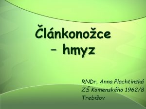 lnkonoce hmyz RNDr Anna Plachtinsk Z Komenskho 19628