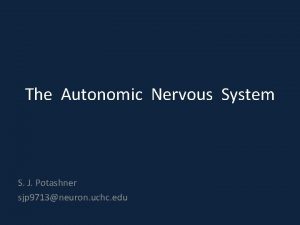 The Autonomic Nervous System S J Potashner sjp