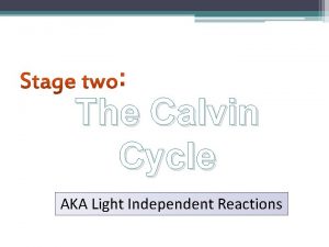 The Calvin Cycle AKA Light Independent Reactions Melvin