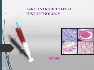 Lab 1 INTRODUCTON of HISTOPTHOLOGY INTRODUCTION Histopathology is