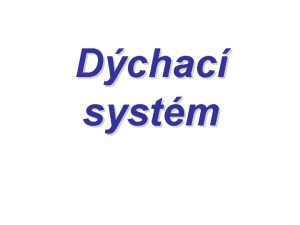 Dchac systm Hlavn ndechov svaly brnice zevn meziebern