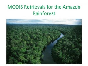 MODIS Retrievals for the Amazon Rainforest Dan Sauceda