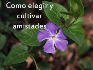 Como elegir y cultivar amistades Consideraciones Todos necesitamos