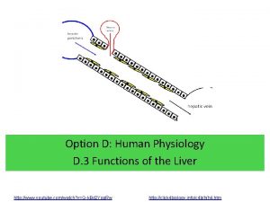 Option D Human Physiology D 3 Functions of