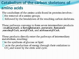 Catabolism of the carbon skeletons of amino acids