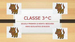 CLASSE 3C SCUOLA PRIMARIA DI MONTU BECCARIA ANNO