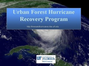 Urban Forest Hurricane Recovery Program http treesandhurricanes ifas